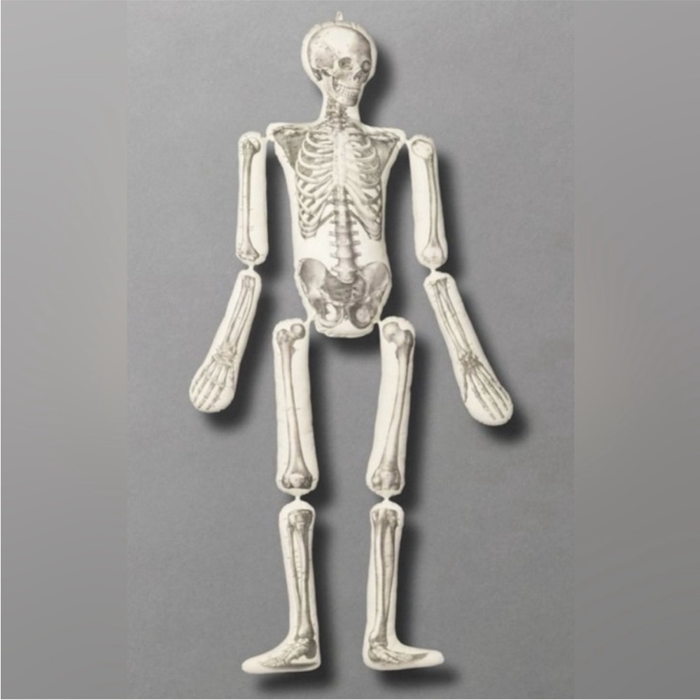 ~5.25 ft. Skeleton Pillow by designer John Derian - Picture 2 of 5